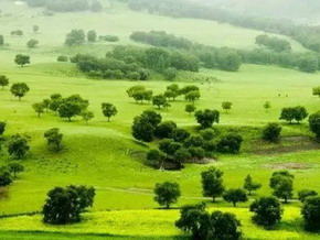 1562572801344529.jpg 草原3.jpg