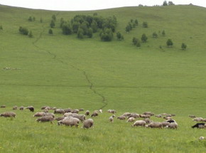 1562572835171275.jpg 小6.jpg